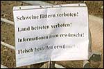 Zwijnen, in het G&uuml;rbetal