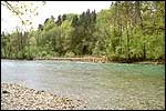 The Aare from the footpath