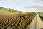 The fields around Belp