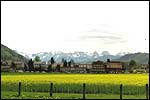 Fields around Belp