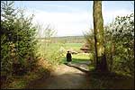 Chielie at the forest's edge