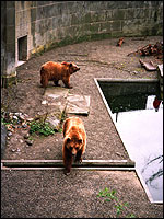 Photo: Marco J. van Zijntergen